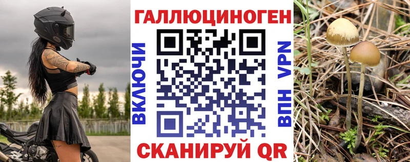 Псилоцибиновые грибы мицелий Купить где Бирюч